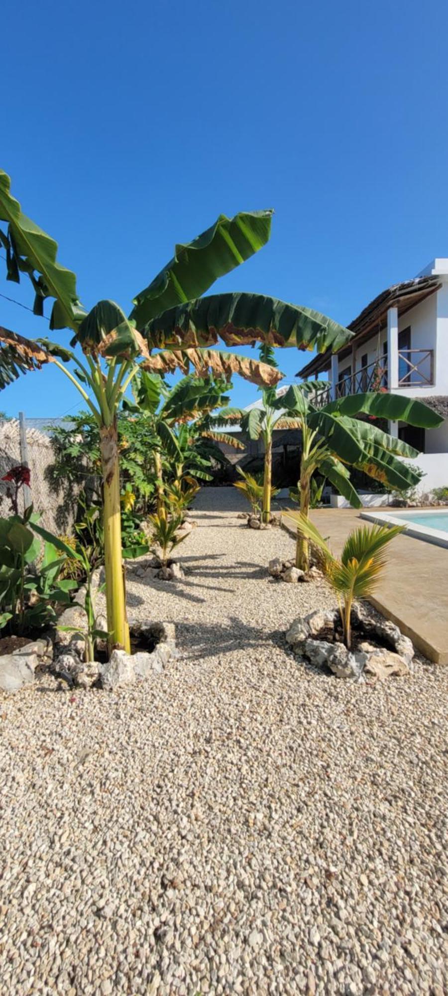Iaia Apartament Jambiani (Zanzibar)