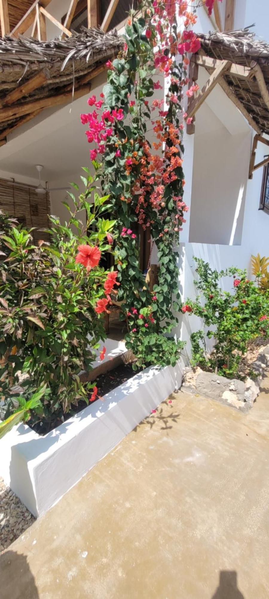 Iaia Apartment *