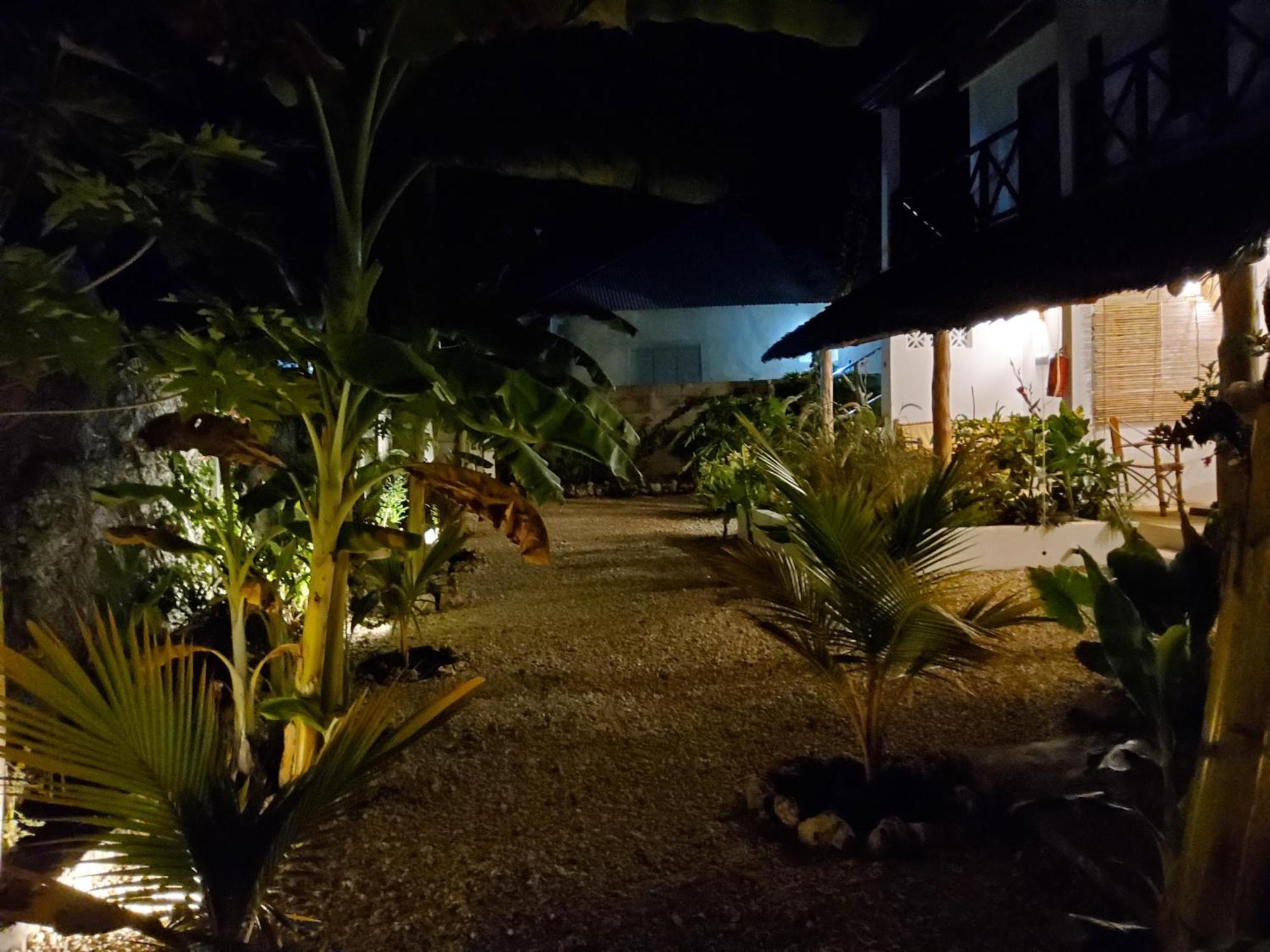 Iaia Apartament *