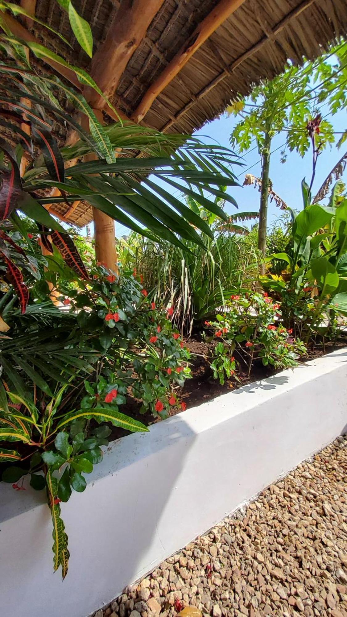 Iaia Apartment Jambiani (Zanzibar)